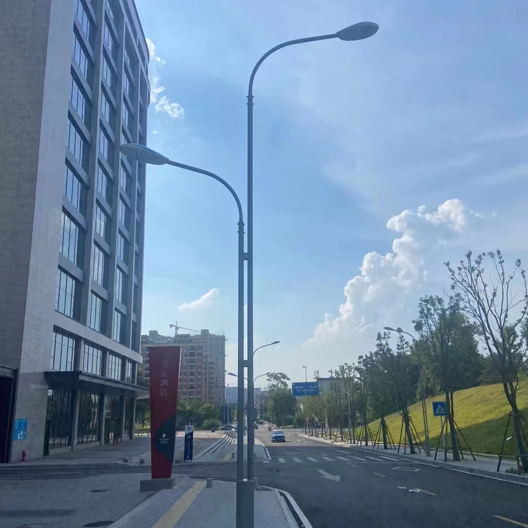 Индивидуальная Заводская цена OEM оцинкованная стальная двойная рука Q235 уличный фонарь 6 метров 8 метров 10 метров осветительный Полюс