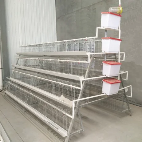 4 Tiers Chicken Egg Layer Battery Cage For Tanzania Poultry Farm