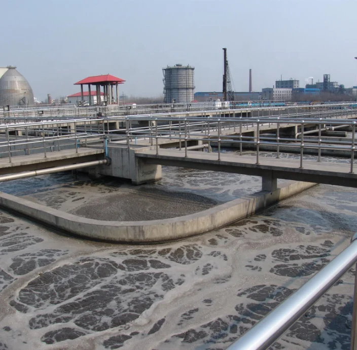 Nitrifying bacteria in sewage treatment to reduce nitrite and ammonia nitrogen