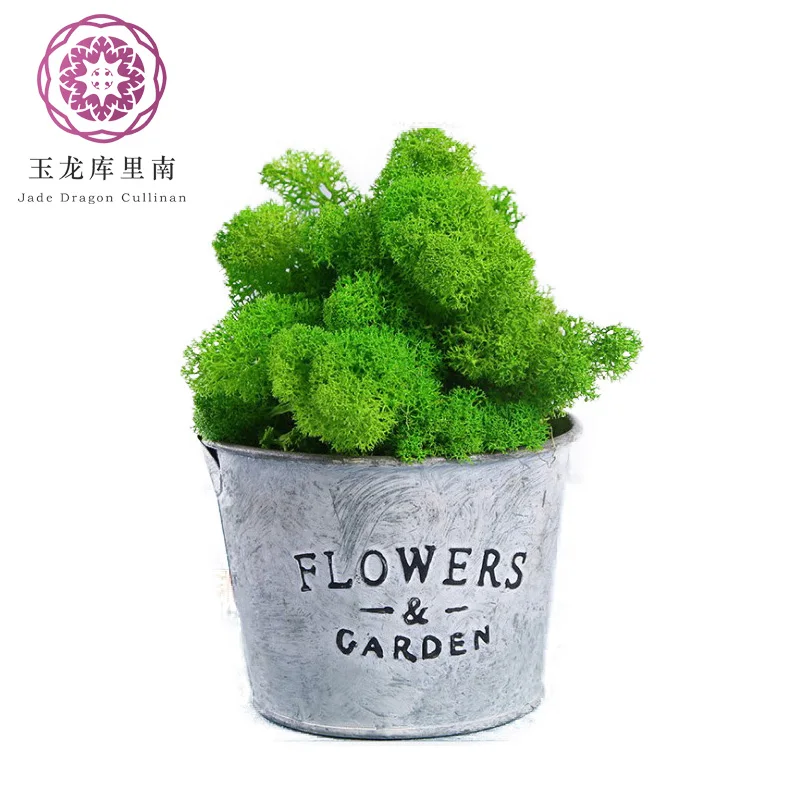 Culinan Wholesale 500g 8-9Cm Real Sea Moss Natural Dried Reindeer Natural Preserved Moss For Moss Wall Decor