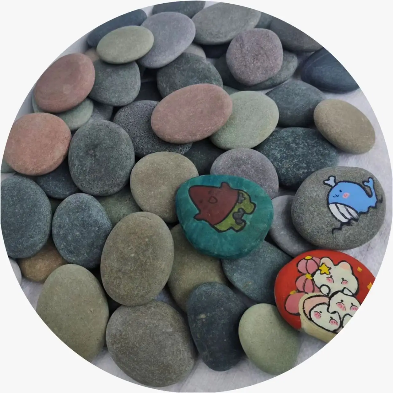 Natural Stone Cobbles & Pebbles Set for Garden Paving & Drawing Artistic Fish Tank
