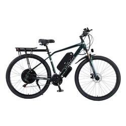 hot sale 4.0 fat tire large wheel 29 inch 48v 1000w beach electric e bike