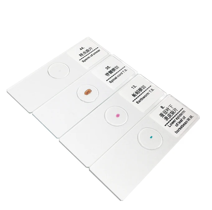 Biology Medical Science High Quality Middle School Teaching Plant and Animal Mix Set 50 Pcs Microscope Prepared Slides