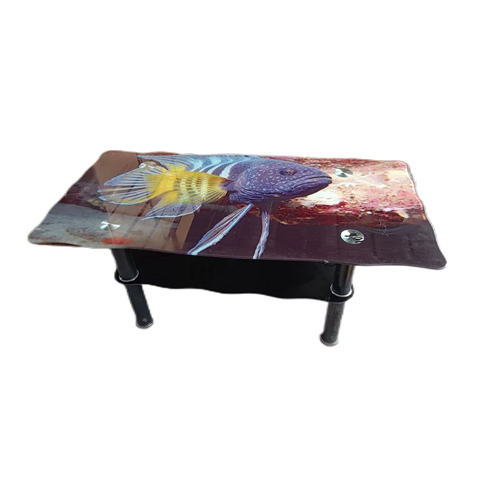 Wholesale Nordic Style Luxury Black Metal Frame Coffee Table elegant Home Tea Tables Tempered Glass table