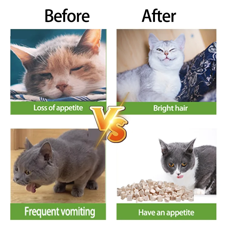 Best Selling Products 2024  High Protein  Freeze-Dried Treats Freeze-Dried Chicken Cubes Dry Dog Snacks  Pet Food For Dogs