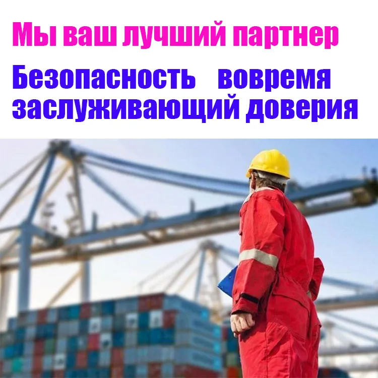 Быстродействующие службы таможенной декларации Alashankou Horgos опытные чувствительные