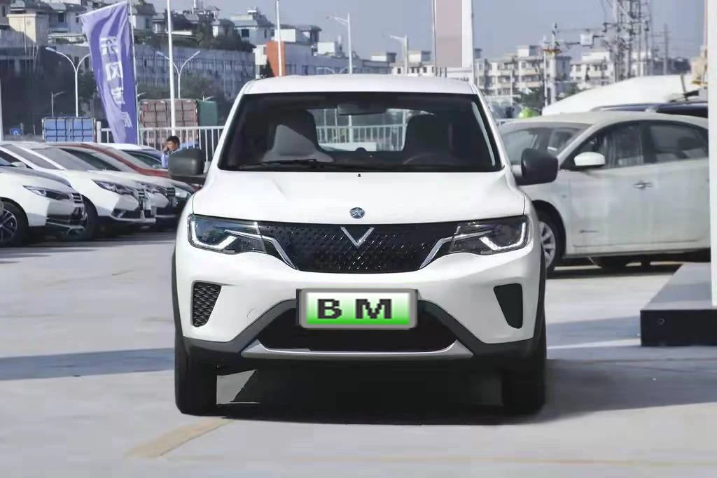 high speed long driving range smart car 4 Wheels 4 seats 5 doors electric SUV hot sell new energy for adult Venucia E30