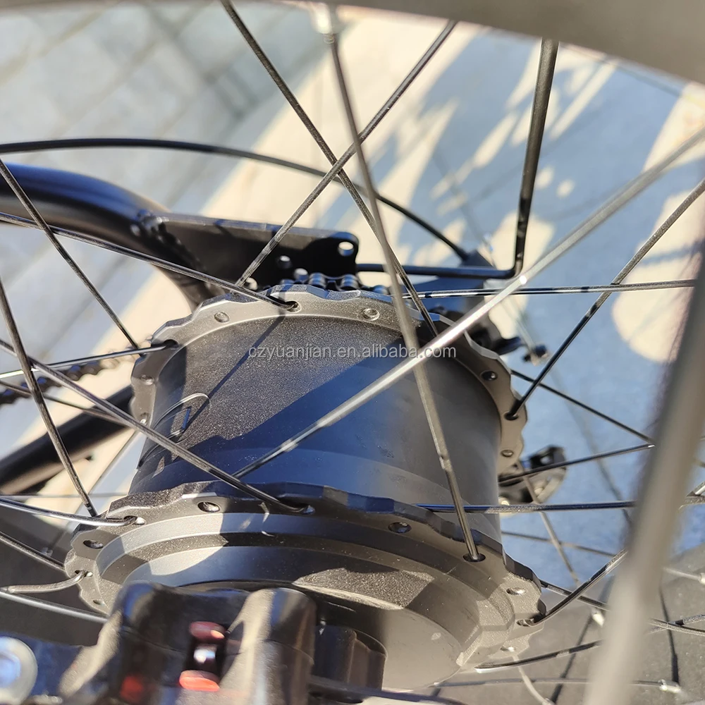 20inch ebike electric bicycle bicicleta electrica 25-Speed 250W 15AH electric+bike