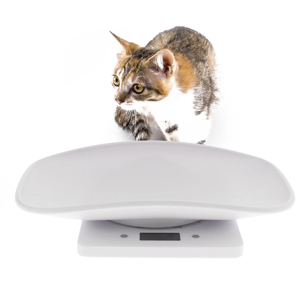 
Portable Electronic Pet Scale Digital Display Measure Tool Infant Pet Newborn Baby Dog Cat 1g-10kg 