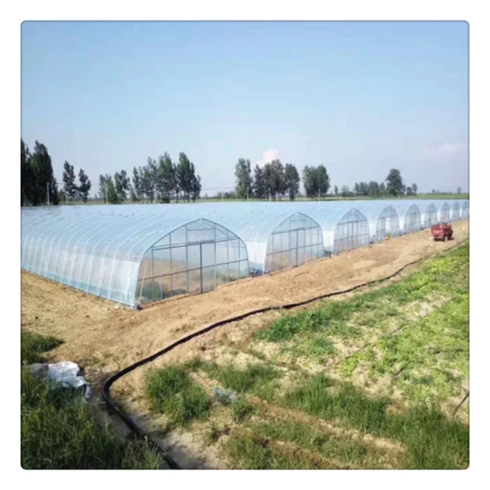  China supplier steel framework tunnel blackout single span green house for