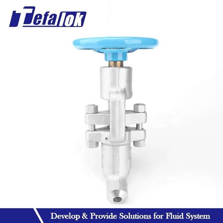 High Quality Carbon Steel Globe Valve Two Piece ss316 Forged 65 Degree Bolted Bonnet Globe Valve Butt Welded Globe Valves