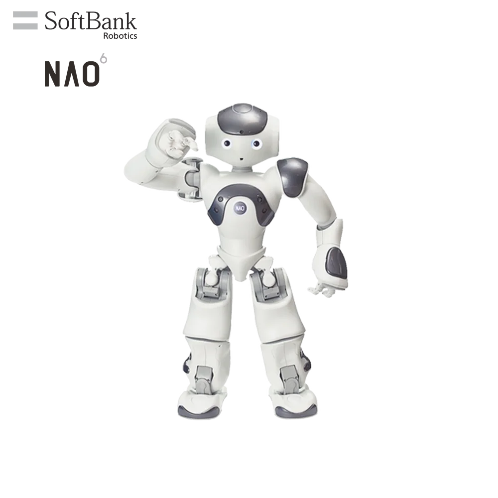 SoftBank Robotics Educational Intelligent Robots For STEM K12 & In-Deepth AI Learning Education, Humanoid Legged Little Robot