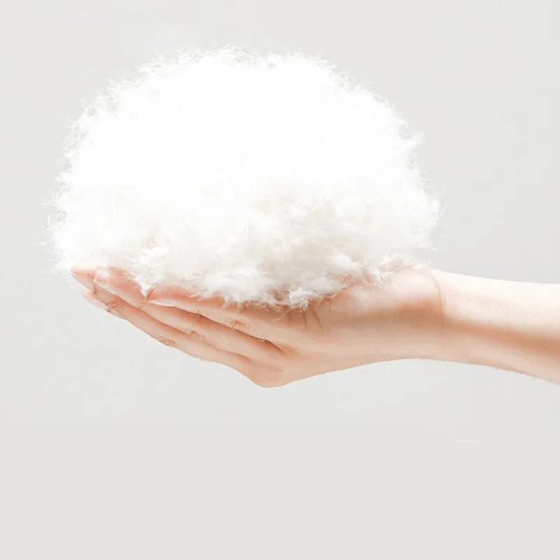 Down Supplier New National Standard Clothing Standard White Raw Duck Down Feather Goose Down & Feather