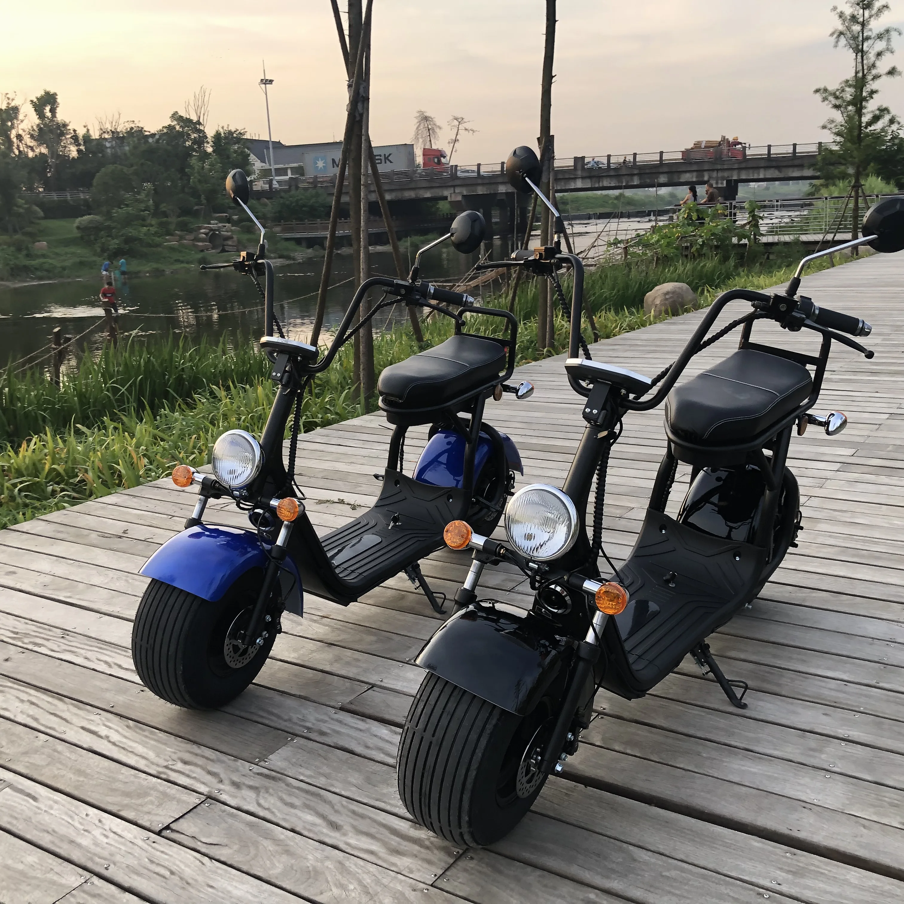 citycoco scooter _4.JPG