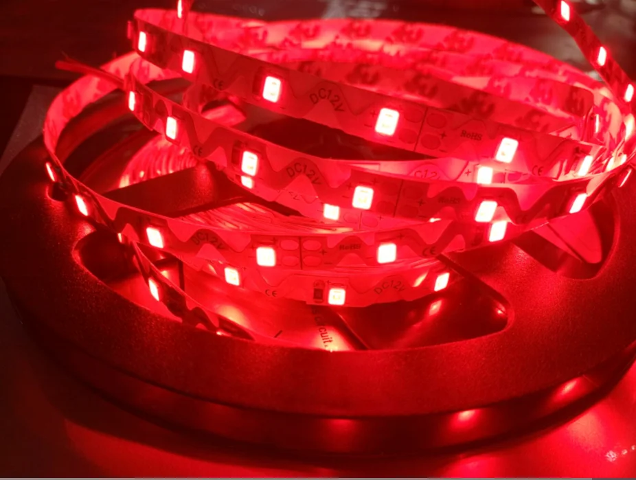 DC 12V 24V S type smd  2835  holiday  time decoration led strip lights