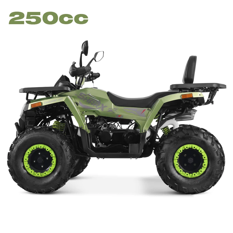 Tao Motor 2025 New Design Chain Drive 4x2 ATV 250cc Quad Bike Cheap Chinese Wholesale Cuatrimoto 250cc ATV