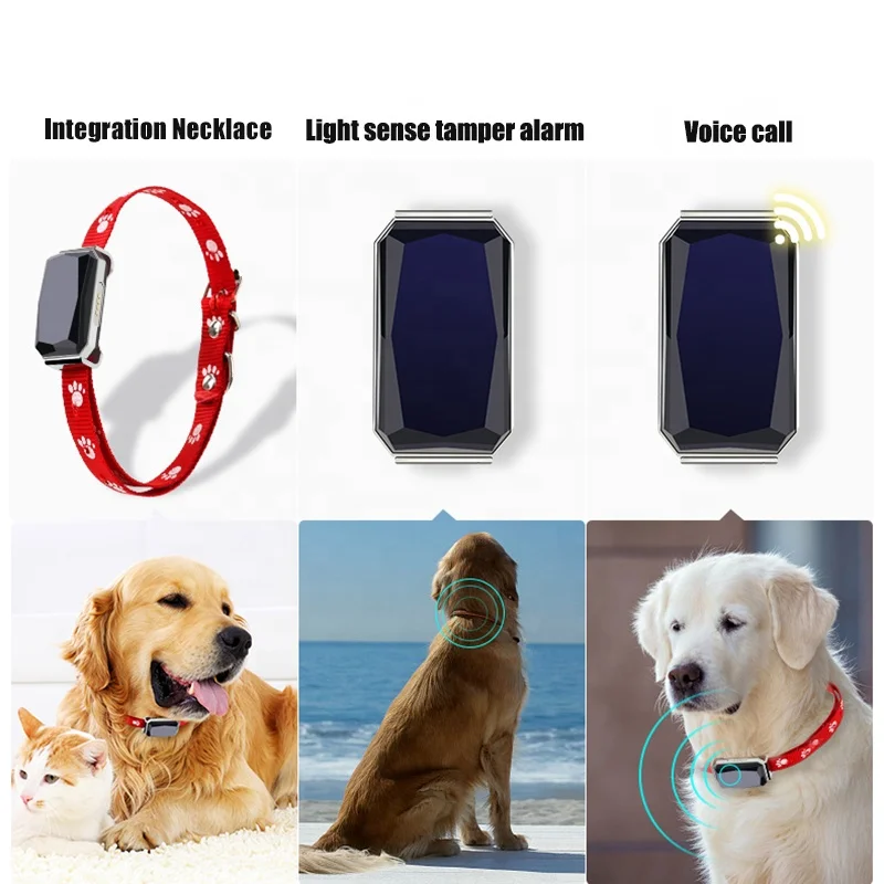 Lorenzo OEM Smart Container Bird Hidden 2023 GPS Phone Dog Pet Relay Wireless Micro 4g Magnetic Mini Small Low Cost GPS Tracker