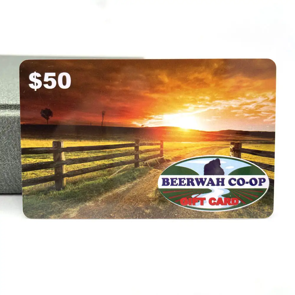 Personalized Color Printing Frosted Surface PVC Plastic Business Gift Card