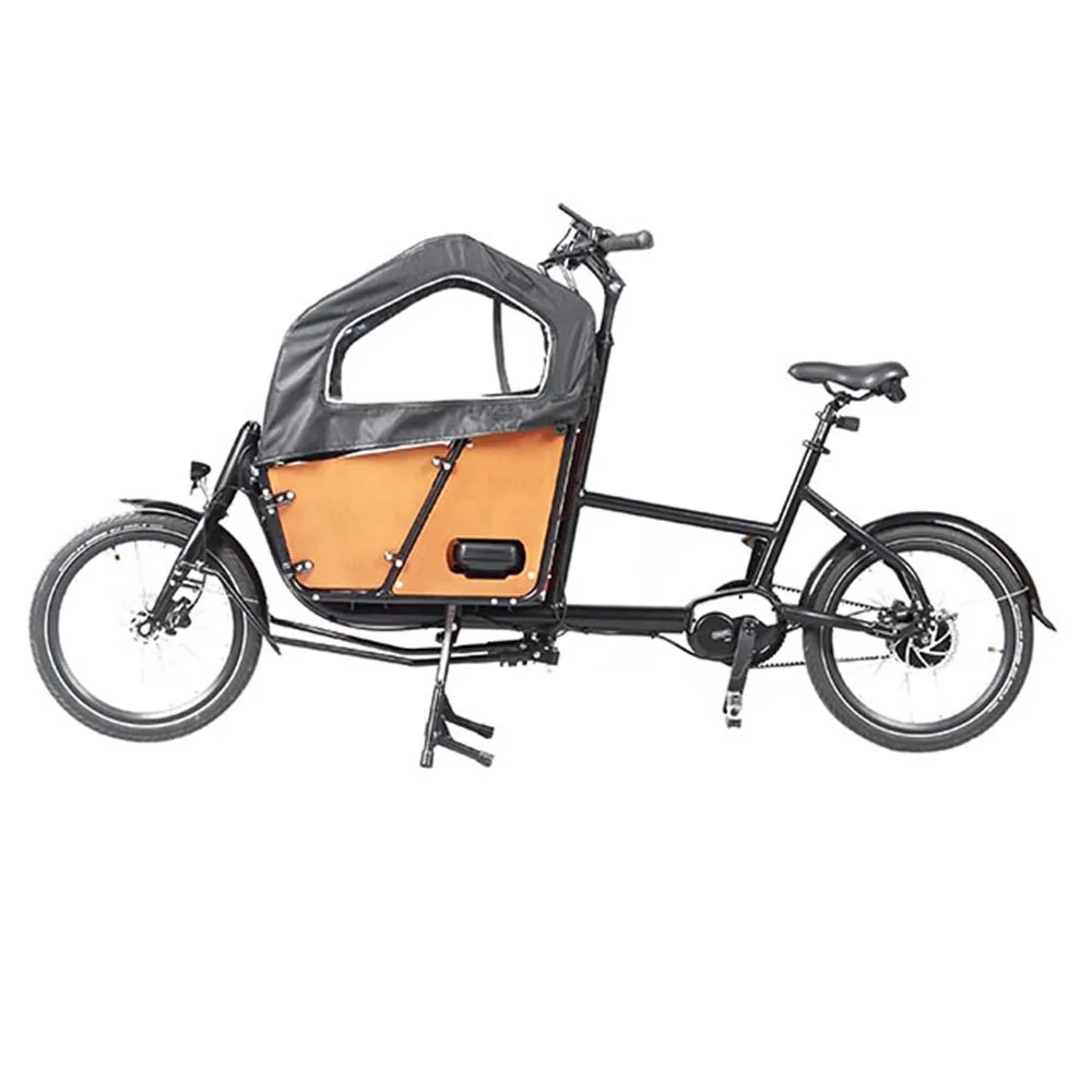 Новый дизайн двухколесный велосипед ecargo