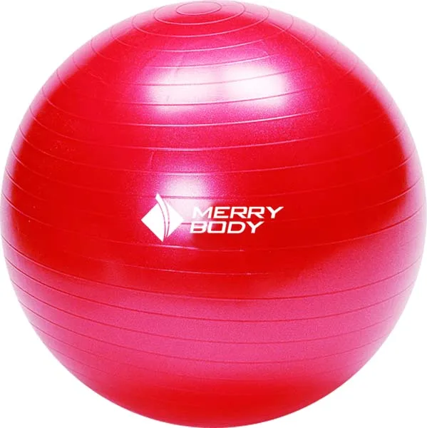 45-95CM Anti-Burst Yoga Ball Thickened Exercise Ball for Pilates Balance Stability Workout Pregnancy Birthing Physical Therapy