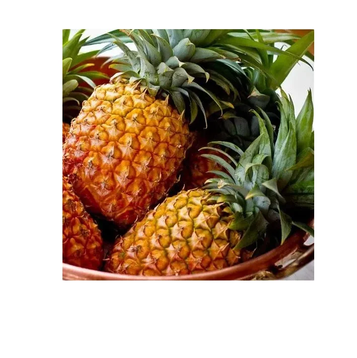 FRESH PINEAPPLE WITH BEST PRICE