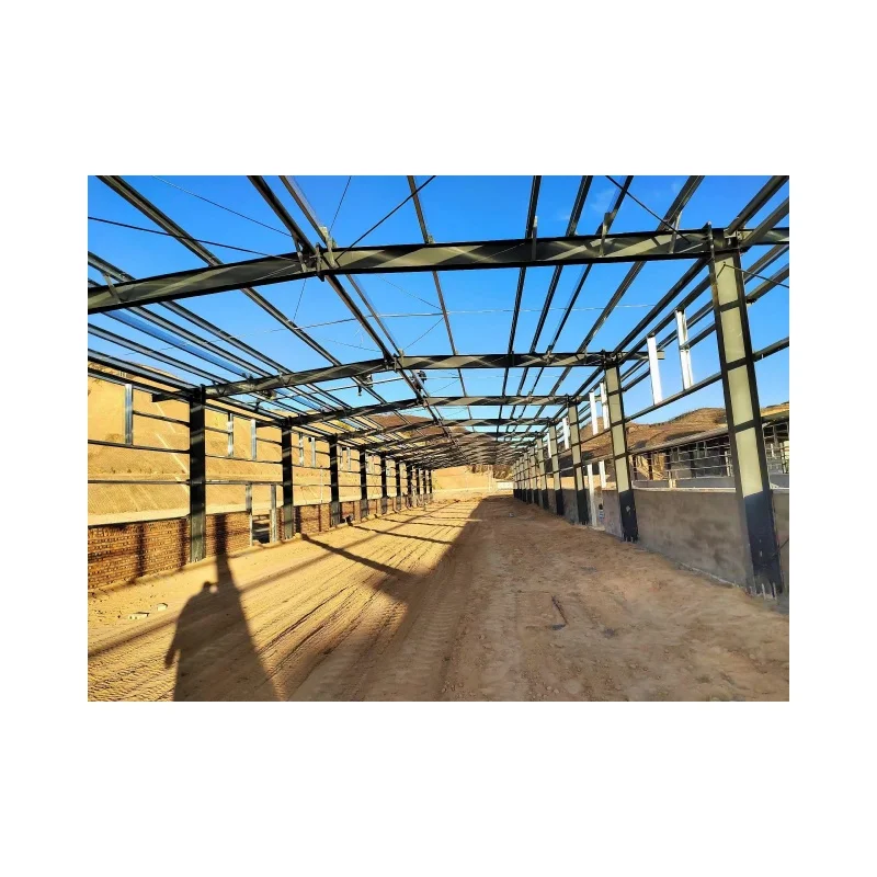 Steel Structure Poultry House Durable Customizable Design for Efficient Poultry Raising