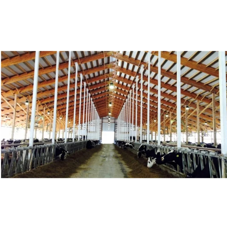 Полностью Контролируемая сборная стальная конструкция Молочная Ферма для