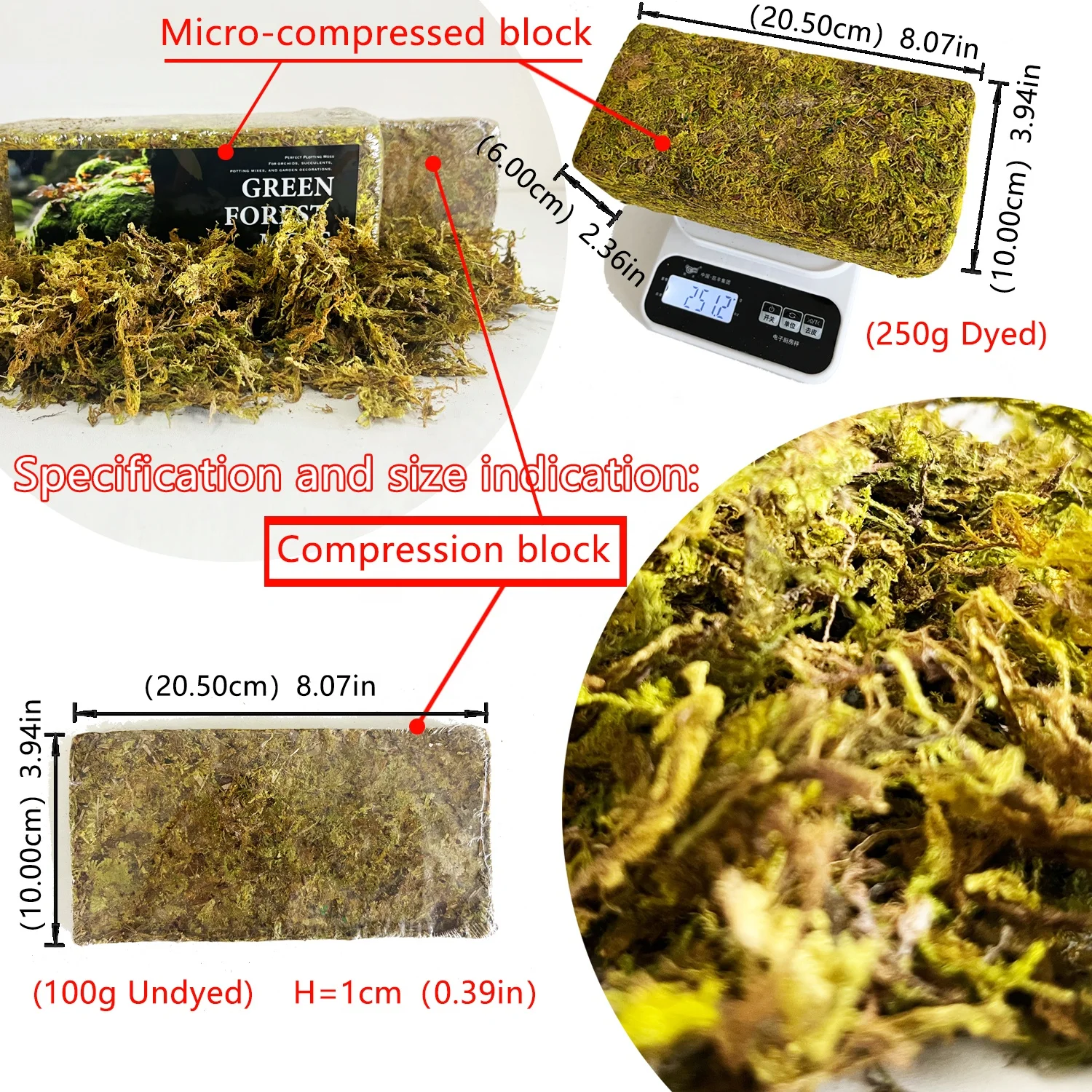 Wholesale Eco-Friendly Premium Natural Dried Green Sphagnum Moss Long Fiber Green Forest Moss For Reptile Plants