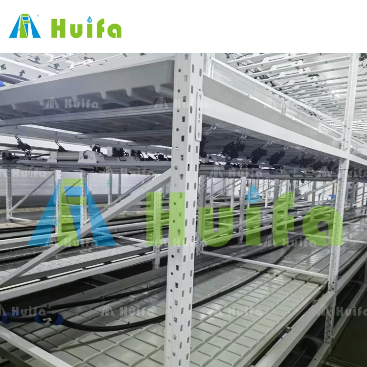 Hot Selling Vertical Farming Two Tier Mobile Vertical Grow Rack Systems
