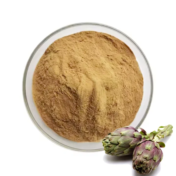Экстракт Cynara Scolymus, порошок, экстракт артишока, порошок, 5% хлорогеновая кислота