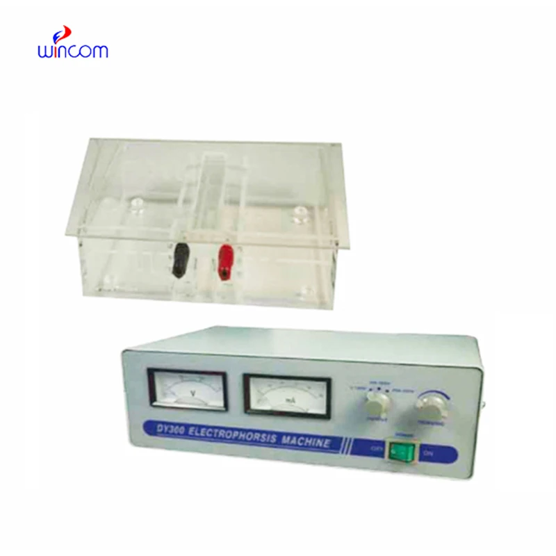 Wincom PCR-9600 Real Time PCR Thermal Cycler Price for DNA Testing Machine and Equipment