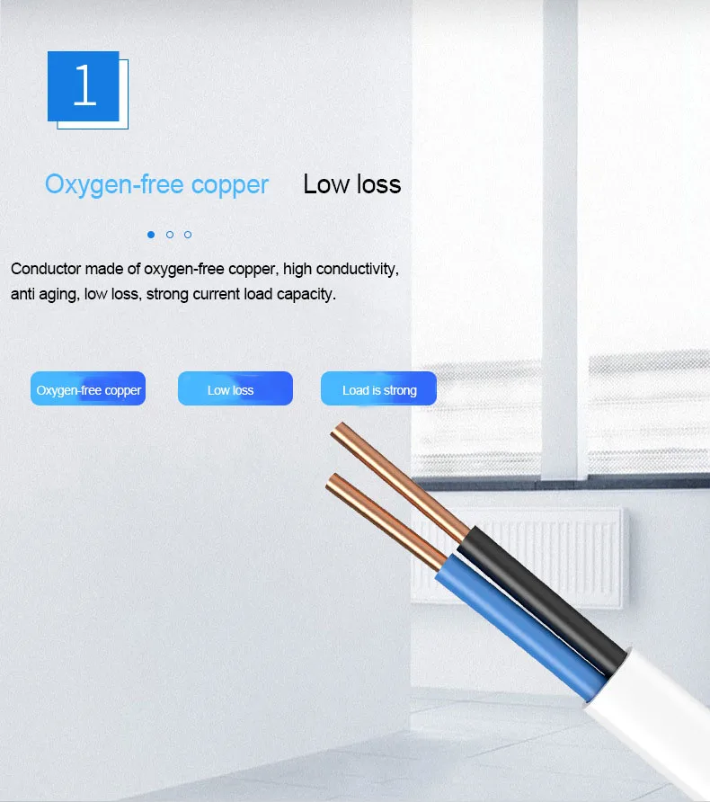 Chint BVVB household two core protective sleeve line white flat copper core line