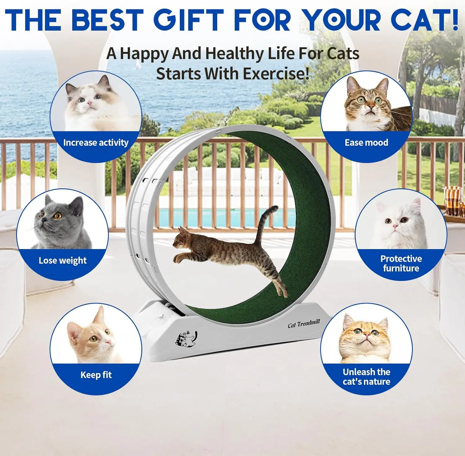 New trend silent cat toys cat treadmill running wheel with Removable Carpeted Runway