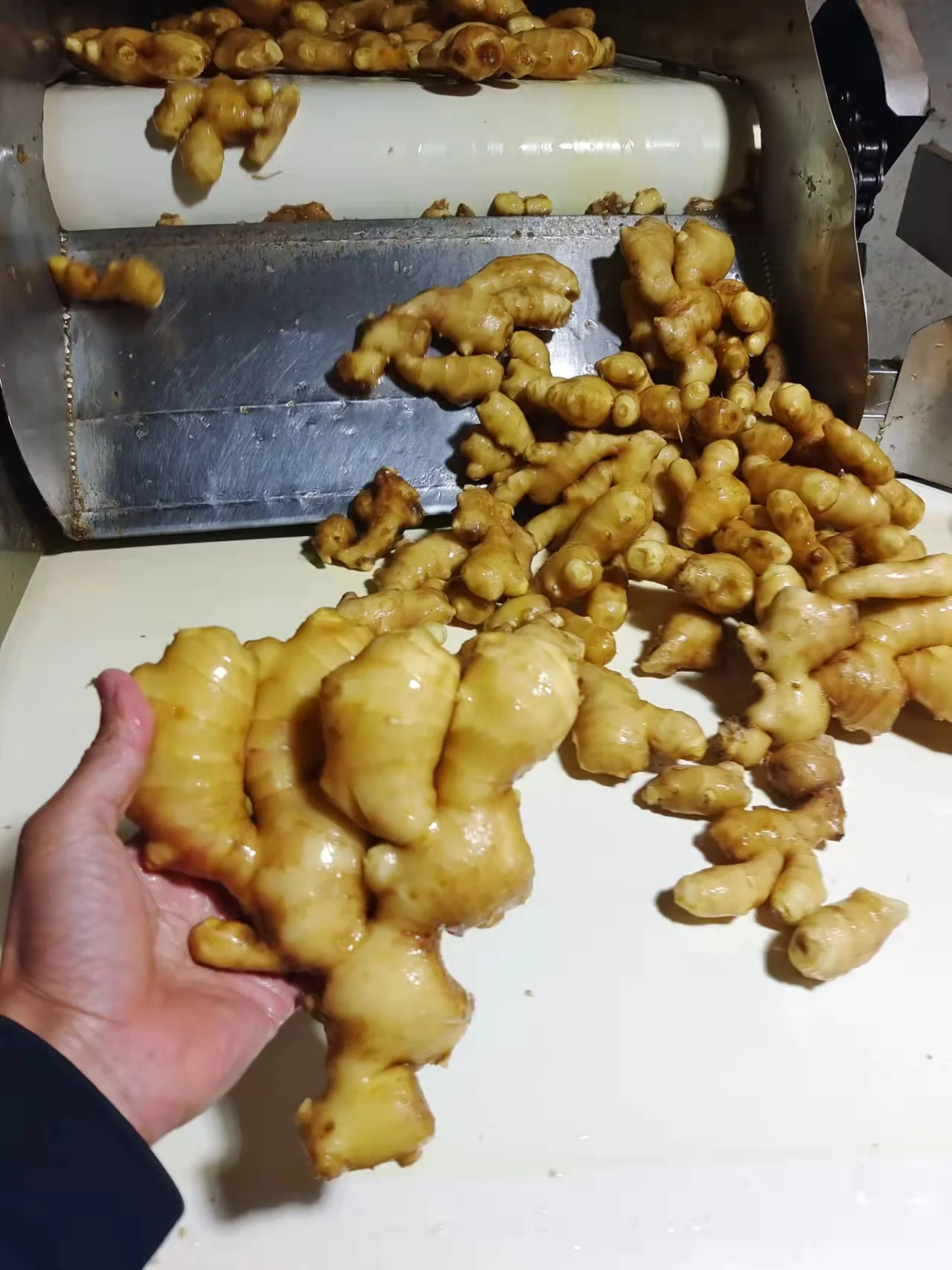 Premium Quality Fresh Ginger Directly Sourced from Origin - Boost Your Health Naturally