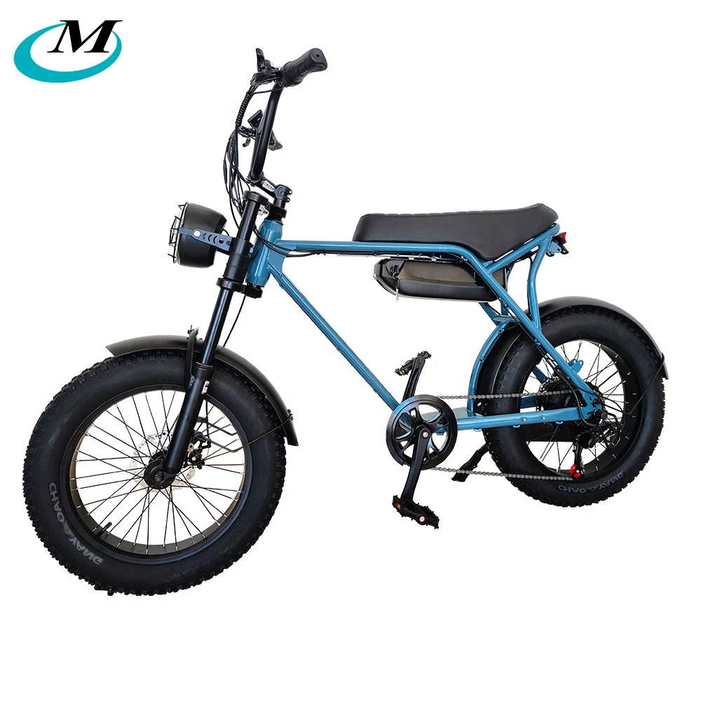 Pro  US EU CA  1000W 26 * 4.0 Fatbike Ebike Electric Fat Tire Mountain E Hybrid Cargo Dirt Bike Bicycle Adult