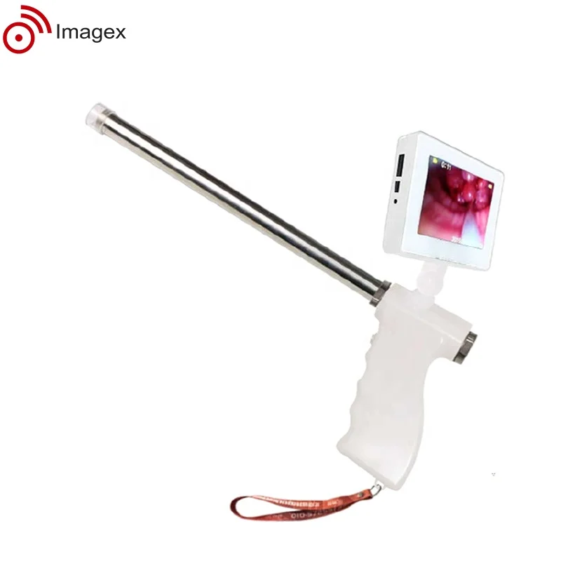 Veterinary Visual Insemination Gun for Cattle, Horses, and Swine