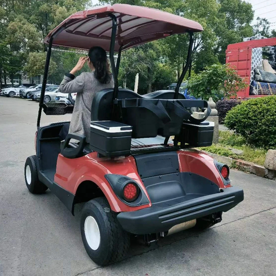 300cc 2 Seater gas powered golf cart with petrol engine gasoline classic two Passengers golf carts