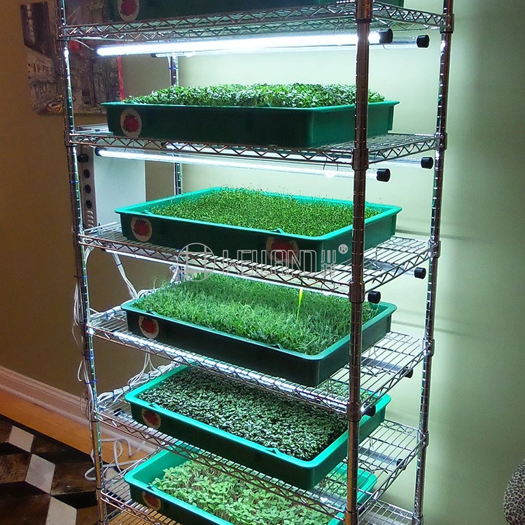 NSF утверждения 6 ярус Регулируемый 800lbs хром семян полка Microgreens рост