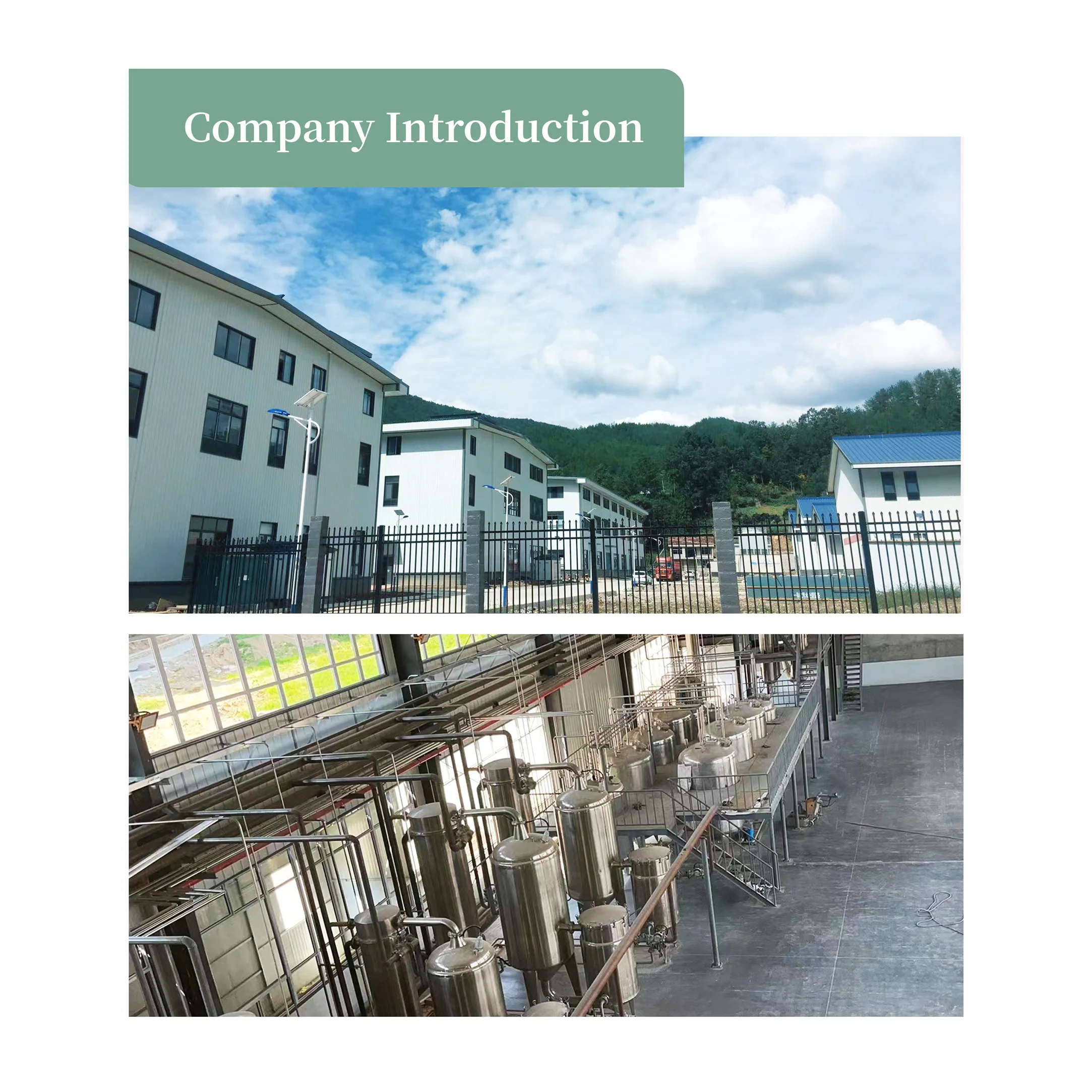 BioF Supply Raw Materials Cosmetic Grade Caprylyl glycol/1,2-Octanediol CAS 1117-86-8