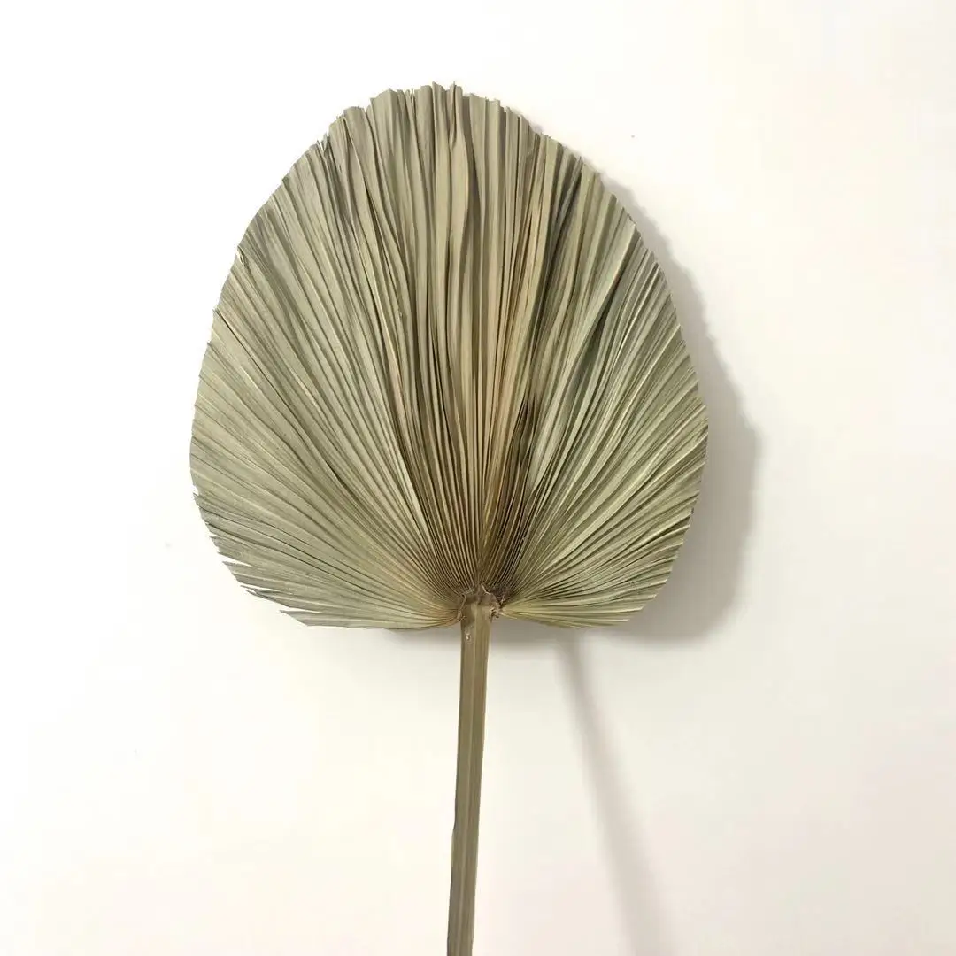 Palm Leaf Decorative Flowers  Natural Dried Palm Leaves for Wedding Home Decor