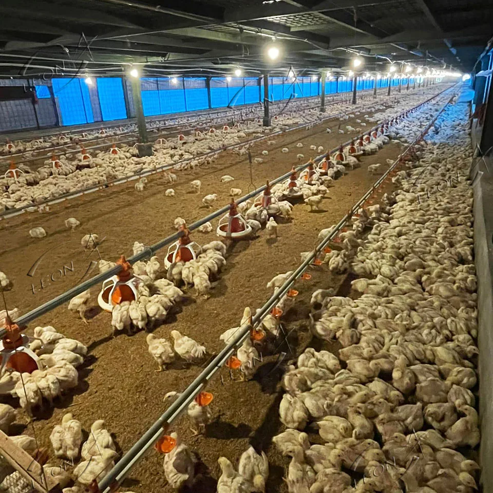 Dubai Prefab Poultry Farming Equipment Chicken Broiler Farm Animal Feeding System For Broiler Farms House Products