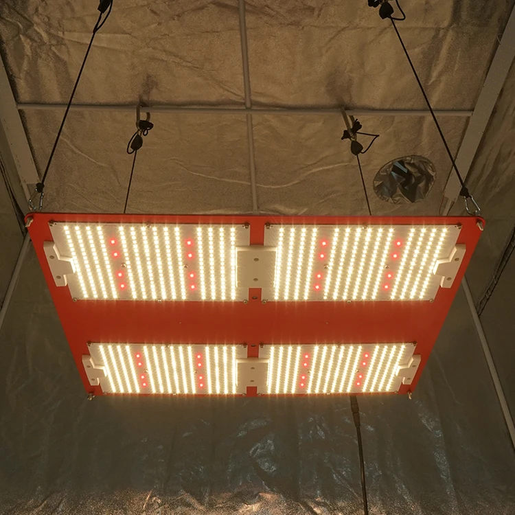 
2021 480W LM301H v4 with deep red CREE XPG3 660nm Grow light for indoor plants 