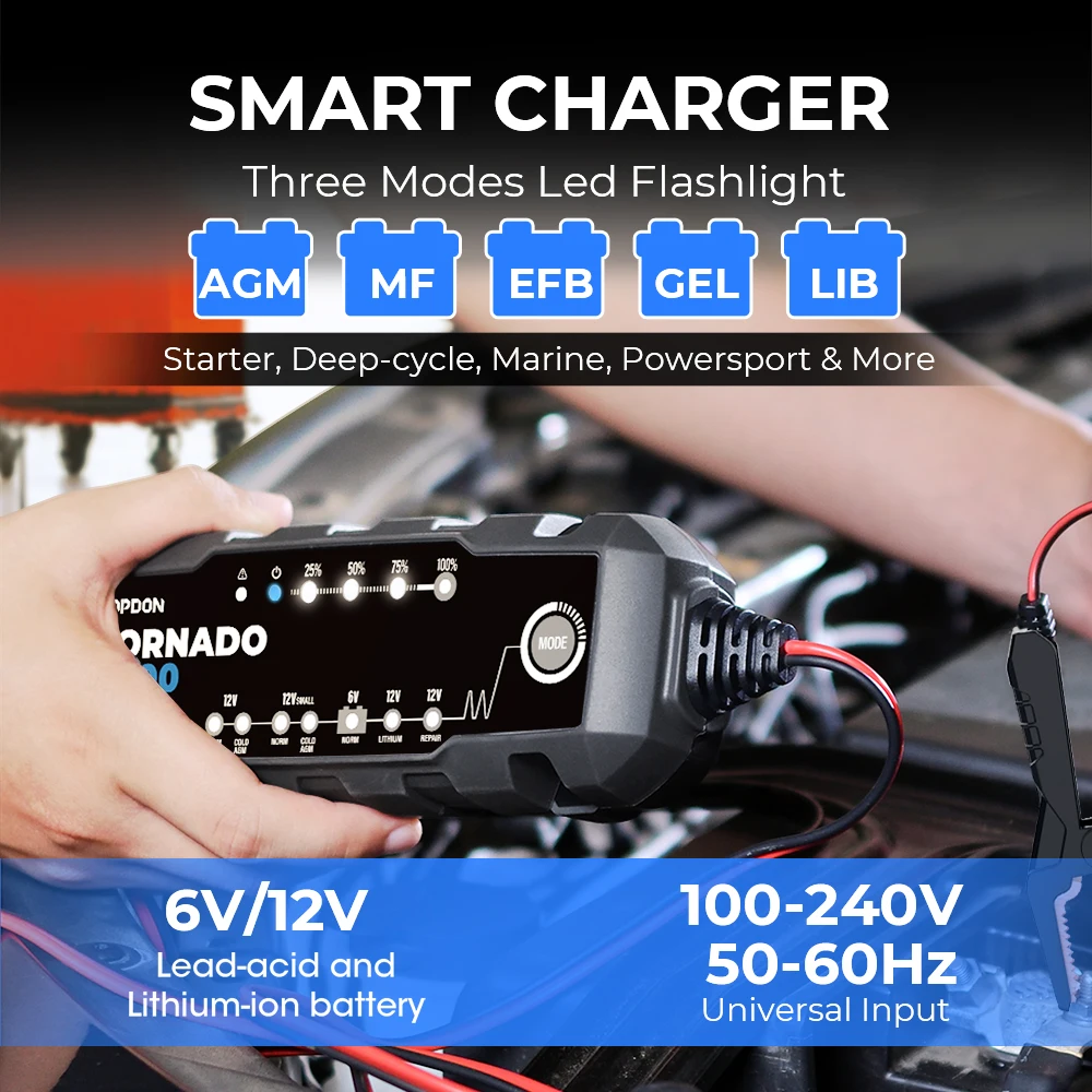 TOPDON  Best Selling Lead Acid Lithium Electricity Car Battery Charger 12V 6V 4A Charger For Car Battery