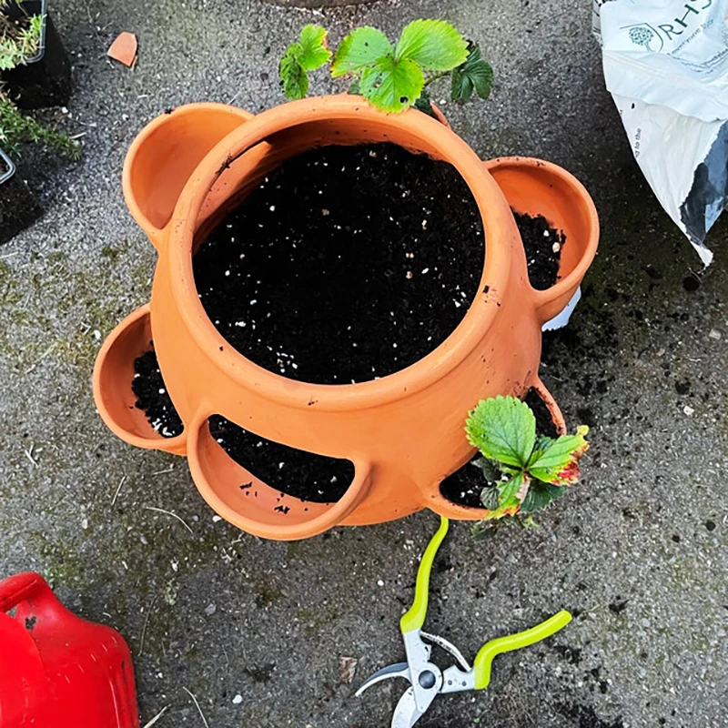 Custom herb planter pot wholesale round terracotta strawberry plant pots