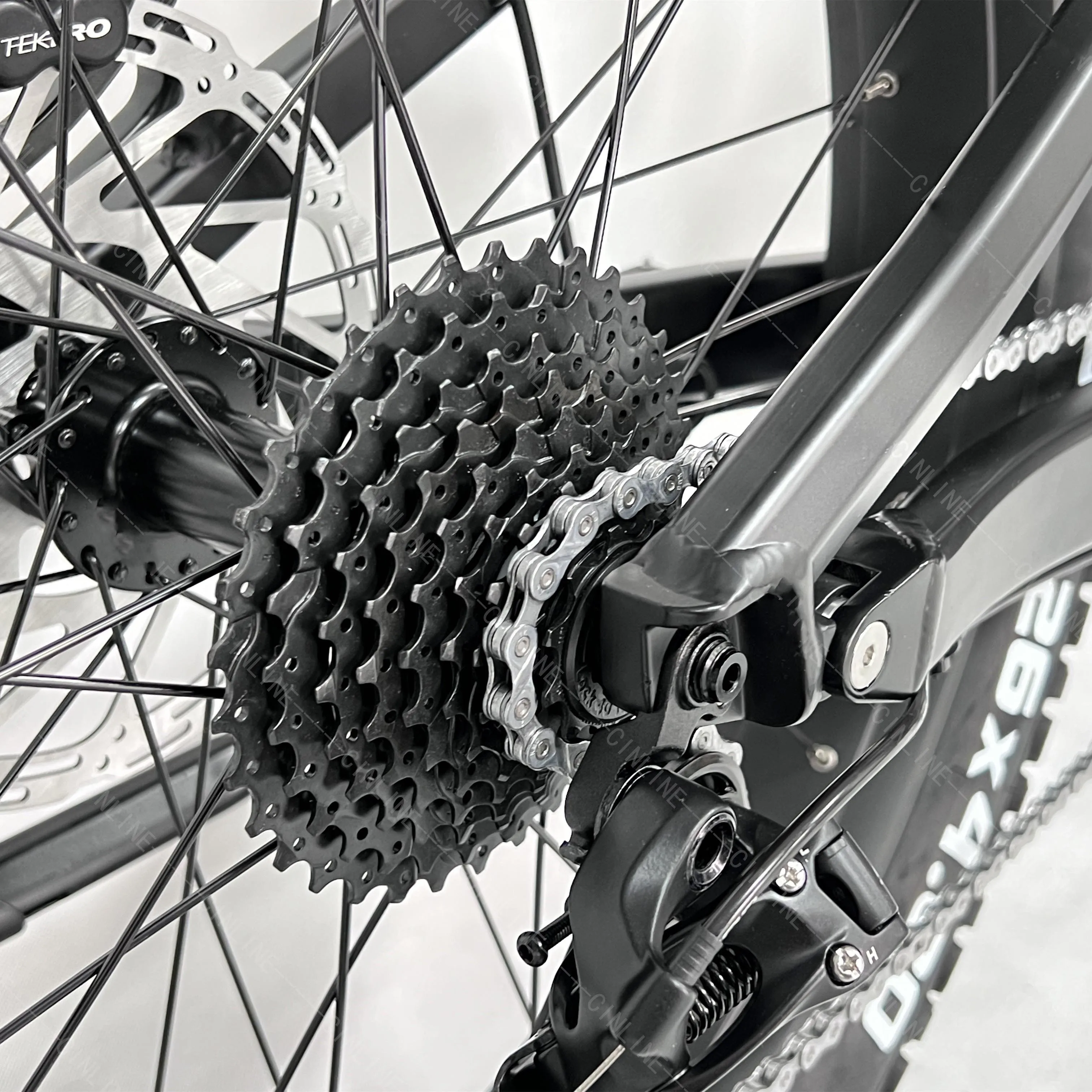 Freewheel.jpg