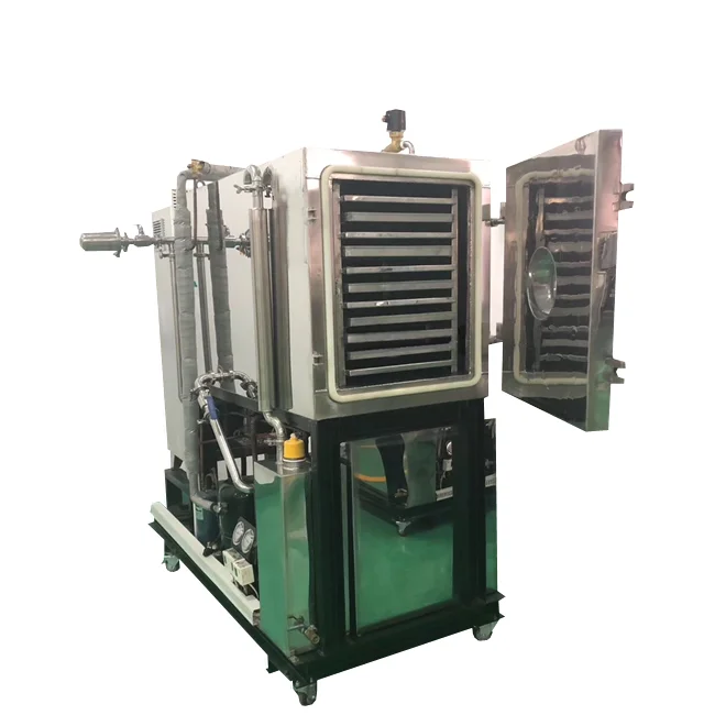 Laboratory Commercial Small Fruit Food Dry Freeze Drying Dried Coffee Machine Lyophilizer Price