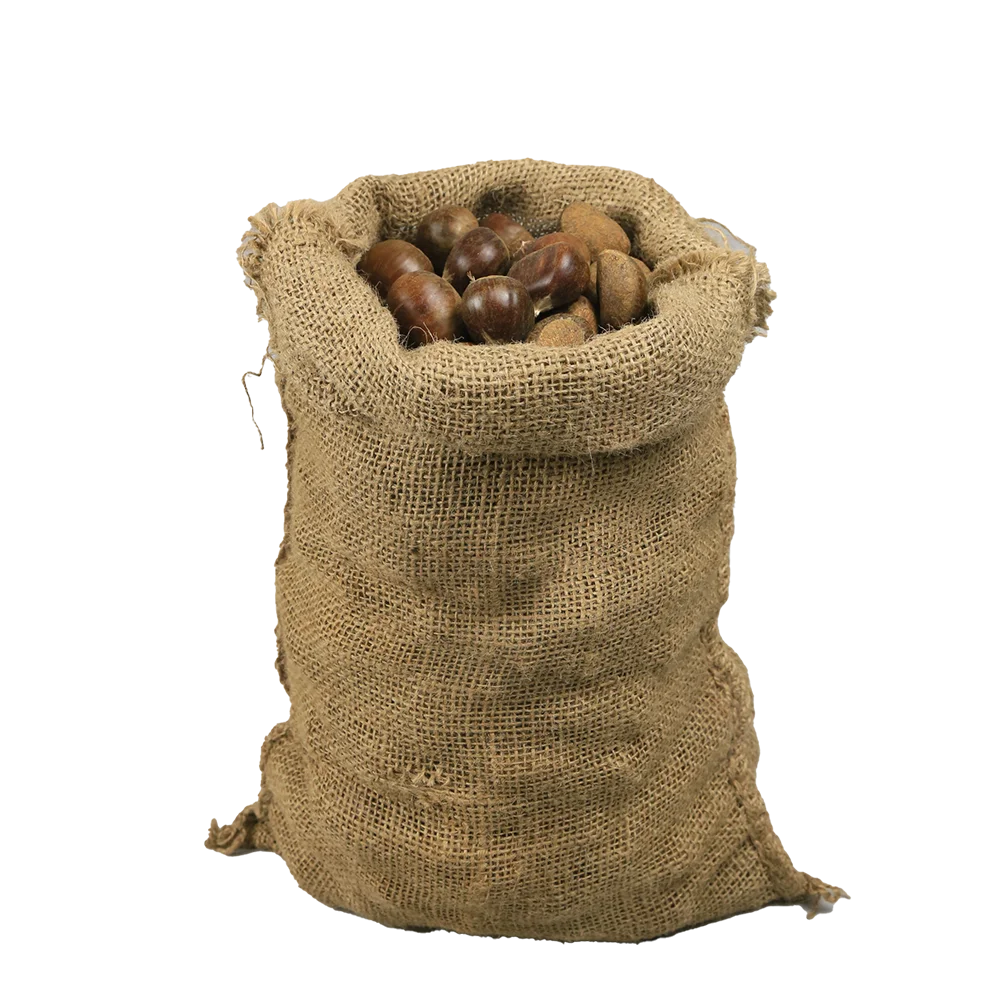 Factory Direct Selling Size 40-50pcs/kg Chinese fresh chestnut