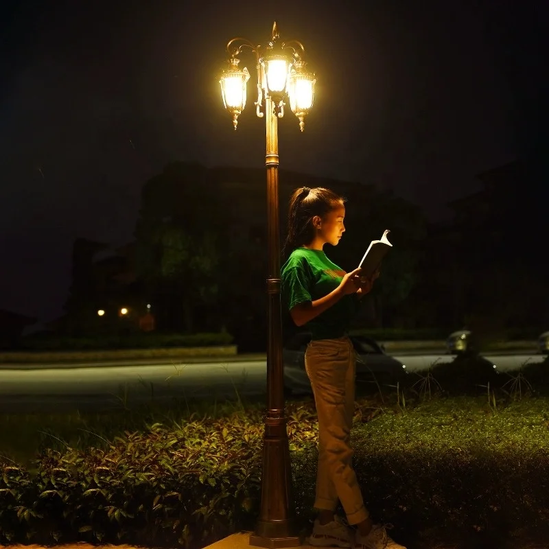 European street lamp garden lawn lamp waterproof outdoor lamp landscape garden villa community double head 3 meters high pole la