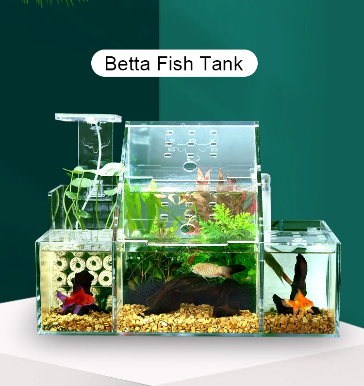 Self-Circulating Breeding&incubation Fish Tank Acrylic Sick Fish Isolation Desktop Aquarium Goldfish Fish Tank with 2.5W Pumps
