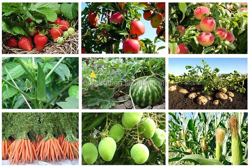 OMRI Quick Release Water Soluble Manufactured Fertilizer Humic Acid Fulvic Acid for Agriculture Use